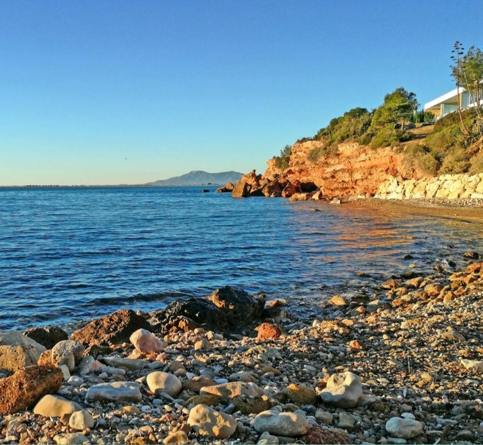 Arrels Apartaments L'Ampolla Εξωτερικό φωτογραφία